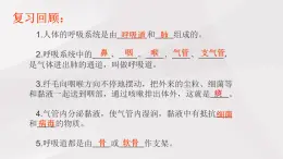 魯教版(五四制)初中生物七年級(jí)上冊(cè) 第3章 第2節(jié)第1課時(shí)  發(fā)生在肺內(nèi)的氣體交換  課件