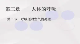 魯教版(五四制)初中生物七年級(jí)上冊(cè) 第3章 第1節(jié) 呼吸道對(duì)空氣的處理  課件