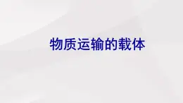 魯教版(五四制)初中生物七年級(jí)上冊(cè) 第4章 第1節(jié) 物質(zhì)運(yùn)輸?shù)妮d體  課件