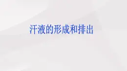 魯教版(五四制)初中生物七年級(jí)上冊(cè) 第5章 第2節(jié) 汗液的形成和排出  課件