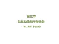 魯科版 (五四制)八年級上冊第七單元 生物圈中的動物第一章 動物的主要類群第三節(jié) 軟體動物和節(jié)肢動物獲獎?wù)n件ppt