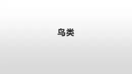 生物魯科五四版八年級(jí)上冊(cè) 7.1.6鳥類 課件