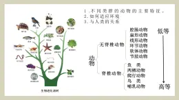 生物魯科五四版八年級(jí)上冊(cè) 7.1.1  腔腸動(dòng)物和扁形動(dòng)物 課件