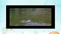 生物魯科五四版八年級(jí)上冊(cè) 7.2.1動(dòng)物的運(yùn)動(dòng)教學(xué) 課件
