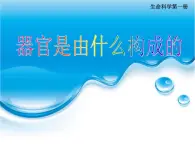 生物滬教版八年級上冊 生命科學 1.1 人體器官是由什么構(gòu)成的 課件