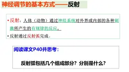 生物滬教版八年級上冊 生命科學 2.1 神經(jīng)調(diào)節(jié)的基本方式課件