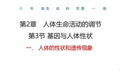 生物滬教版八年級上冊 生命科學 2.3 基因與人體性狀（第1課時）課件