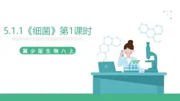 冀少版生物八上5.1.1《细菌》 第1课时课件