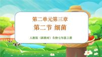 人教版（2024）七年級(jí)上冊(cè)（2024）第二節(jié) 細(xì)菌優(yōu)秀習(xí)題課件ppt