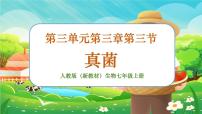 初中生物人教版（2024）七年級(jí)上冊(cè)（2024）第三節(jié) 真菌優(yōu)秀習(xí)題課件ppt