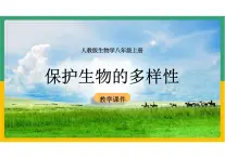 初中生物人教版八年级上册《6.3保护生物的多样性》课件
