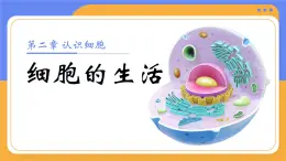 人教版初中生物七上：1.2.4 細(xì)胞的生活（教學(xué)設(shè)計(jì)+課件）