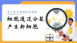 人教版初中生物七上：1.3.1 細(xì)胞通過(guò)分裂產(chǎn)生新細(xì)胞（教學(xué)設(shè)計(jì)+課件）
