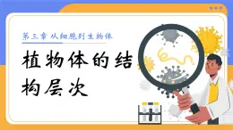 人教版初中生物七上：1.3.3 植物體的結(jié)構(gòu)層次（教學(xué)設(shè)計(jì)+課件）