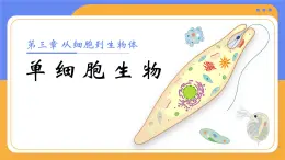 人教版初中生物七上：1.3.4 單細(xì)胞生物（教學(xué)設(shè)計(jì)+課件）