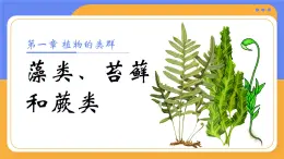 人教版初中生物七上：2.1.1 藻類、苔蘚和蕨類（教學(xué)設(shè)計(jì)+課件）