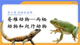 人教版初中生物七上：2.2.2 脊椎動(dòng)物-兩棲動(dòng)物和爬行動(dòng)物（教學(xué)設(shè)計(jì)+課件）