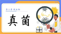 人教版初中生物七上：2.3.3 真菌（教學(xué)設(shè)計(jì)+課件）