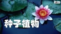 人教版（2024）七年級上冊（2024）第二單元 多種多樣的生物第一章 植物的類群第二節(jié) 種子植物圖文ppt課件