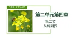 初中  生物  人教版（2024）  七年级上册  第二单元  第四章第二节 从种到界 课件
