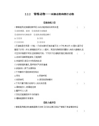 七年級(jí)上冊（2024）第二單元 多種多樣的生物第二章 動(dòng)物的類群第二節(jié) 脊椎動(dòng)物二 兩棲動(dòng)物和爬行動(dòng)物同步訓(xùn)練題