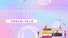 4.1.6芽的類型和發(fā)育 課件-濟(jì)南版生物八年級(jí)上冊(cè)