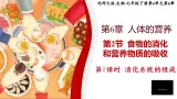 北师大版初中生物 七年级下册 6.2.1 食物的消化和营养物质的吸收（PPT+教案）