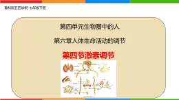 4.6.4 激素調(diào)節(jié)-2024-2025學(xué)年七年級生物下冊同步精品課件（魯科版五四學(xué)制2024）