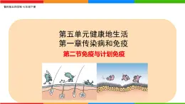 5.1.2 免疫與計劃免疫-2024-2025學(xué)年七年級生物下冊同步精品課件（魯科版五四學(xué)制2024）