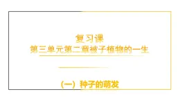 魯科版 五四制初中生物 六年級上冊《被子植物的一生》復(fù)習(xí)課課件PPT