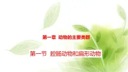 魯科版八年級(jí)生物上冊(cè)第一章7.1.1腔腸動(dòng)物和扁形動(dòng)物教學(xué)課件+訓(xùn)練含答案