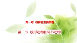 魯科版八年級(jí)生物上冊(cè)第一章7.1.2線形動(dòng)物和環(huán)節(jié)動(dòng)物教學(xué)課件+訓(xùn)練含答案