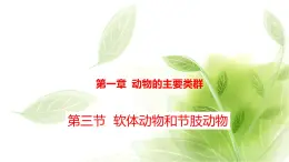 魯科版八年級(jí)生物上冊(cè)第一章7.1.3軟體動(dòng)物和節(jié)肢動(dòng)物教學(xué)課件+訓(xùn)練含答案