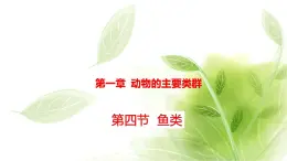 魯科版八年級(jí)生物上冊(cè)第一章7.1.4魚類教學(xué)課件+訓(xùn)練含答案