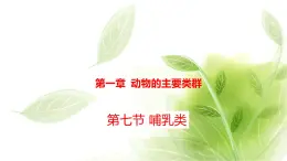 魯科版八年級(jí)生物上冊(cè)第一章7.1.7哺乳類教學(xué)課件+訓(xùn)練含答案