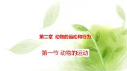 魯科版八年級(jí)生物上冊(cè)第二章7.2.1動(dòng)物的運(yùn)動(dòng)教學(xué)課件+訓(xùn)練含答案