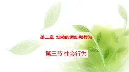 魯科版八年級(jí)生物上冊(cè)第二章7.2.3社會(huì)行為教學(xué)課件+訓(xùn)練含答案