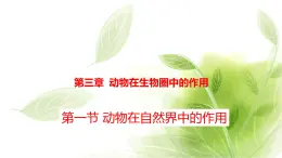 魯科版八年級(jí)生物上冊(cè)第三章7.3.1動(dòng)物在自然界中的作用教學(xué)課件+訓(xùn)練含答案