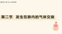 4.3.2 發(fā)生在肺內(nèi)的氣體交換 課件-2024-2025學年人教版生物七年級下冊