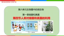 6.1.5 人類對細菌和真菌的利用-七年級生物下冊（魯科版五四學(xué)制） 課件