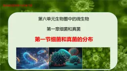 6.1.1 細菌和真菌的分布-七年級生物下冊（魯科版五四學(xué)制） 課件