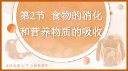 4.6.2 食物的消化和营养物质的吸收 课件 生物北师大版（2024）七年级下册