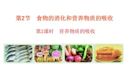 2024-2025学年北师大版生物七年级下册 4.6.2  食物的消化和营养物质的吸收（第2课时） 课件