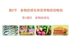 2024-2025学年北师大版生物七年级下册 4.6.2食物的消化和营养物质的吸收（第1课时） 课件