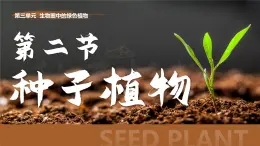 人教版2024七年级上册生物种子植物 课件