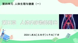 第五章+人體內(nèi)廢物的排出課件-2024-2025學年人教版生物七年級下冊