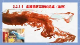 初中 生物 冀少版（2024）七年級下冊3.2.1.1   血液循環(huán)系統(tǒng)的組成（血液） 課件