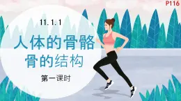 初中 生物 北師大版（2024）七年級下冊4.11.1 人體的骨骼第一課時 課件