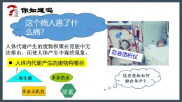 4.5人體內(nèi)廢物的排出+課件-2024--2025學年人教版七年級生物下冊