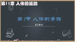 初中 生物 北師大版（2024）七年級下冊4.11.1 人體的骨骼第2課時 課件